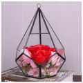 Hot Фурӯши Diamond Shape Glass Растаниҳои Terrarium геометрӣ